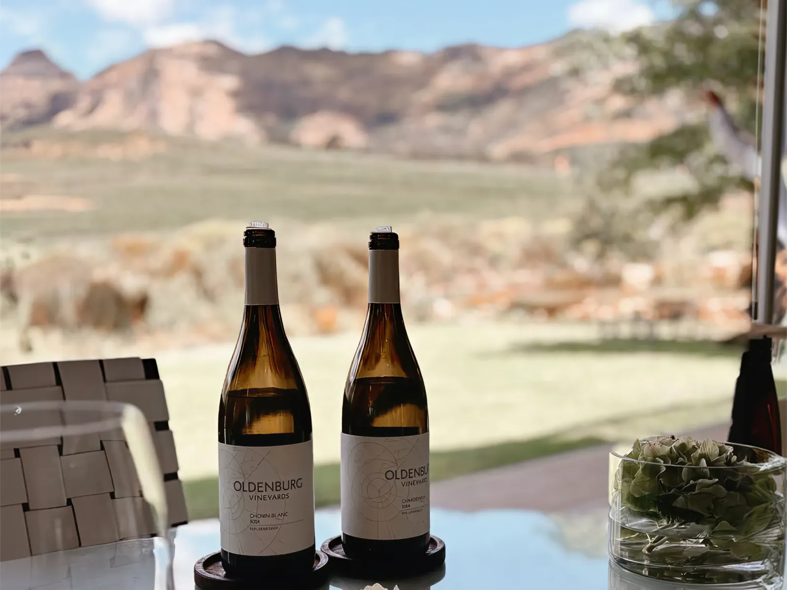 Oldenburg Vineyards, Banghoek, Stellenbosch